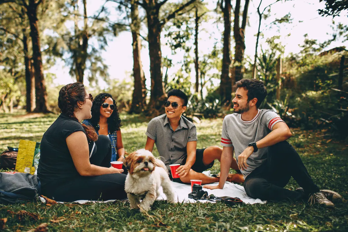 Group of friends outdoors on a picnic blanket with a small dog, symbolizing connection and wellbeing.