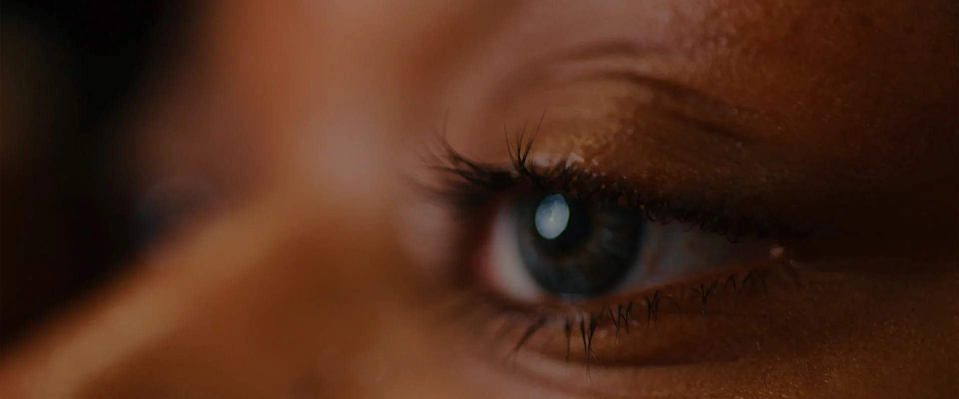 Close-up of a human eye, showcasing detailed eyelashes and iris.